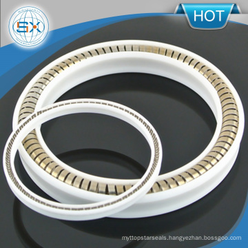 PTFE and Elastomeric Spring Energized Seals